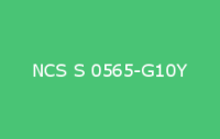 BELUPOL 080 Polymer NCS S 0565 G10Y