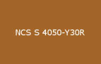 BELUPOL 080 Polymer NCS S 4050 Y30R