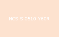 BELUPOL 080 Polymer NCS S 0510 Y60R