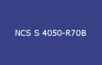 BELUPOL 080 Polymer NCS S 4050 R70B