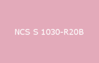 BELUPOL 080 Polymer NCS S 1030 R20B