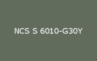 BELUPOL 080 Polymer NCS S 6010 G30Y