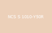 BELUPOL 080 Polymer NCS S 1010 Y50R