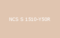 BELUPOL 080 Polymer NCS S 1510 Y50R