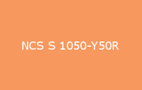 BELUPOL 080 Polymer NCS S 1050 Y50R