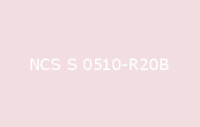 BELUPOL 080 Polymer NCS S 0510 R20B