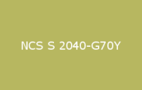 BELUPOL 080 Polymer NCS S 2040 G70Y