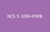 BELUPOL 080 Polymer NCS S 2050 R50B