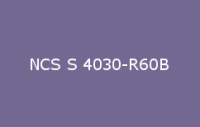 BELUPOL 080 Polymer NCS S 4030 R60B
