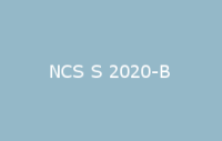 BELUPOL 080 Polymer NCS S 2020 B