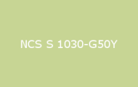 BELUPOL 080 Polymer NCS S 1030 G50Y