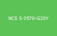 BELUPOL 080 Polymer NCS S 0570 G20Y