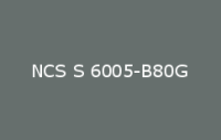 BELUPOL 080 Polymer NCS S 6005 B80G