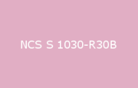 BELUPOL 080 Polymer NCS S 1030 R30B
