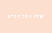 BELUPOL 080 Polymer NCS S 0510 Y70R