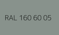 BELUPOL 080 Polymer RAL 160 60 05 Sandsteingraugrün