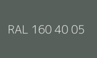 BELUPOL 080 Polymer RAL 160 40 05 Jaspisgrün