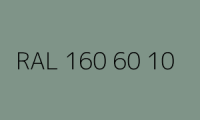 BELUPOL 080 Polymer RAL 160 60 10 Schiefergrün