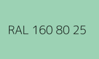 BELUPOL 080 Polymer RAL 160 80 25 Mentholgrün