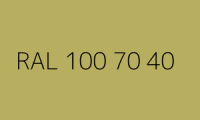 BELUPOL 080 Polymer RAL 100 70 40 Lindgrün