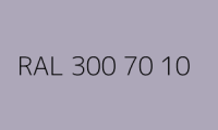 BELUPOL 080 Polymer RAL 300 70 10 Morgendunstgrau