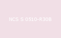 BELUPOL 080 Polymer NCS S 0510 R30B