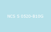 BELUPOL 080 Polymer NCS S 0520 B10G