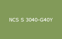 BELUPOL 080 Polymer NCS S 3040 G40Y