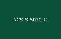 BELUPOL 080 Polymer NCS S 6030 G