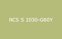 BELUPOL 080 Polymer NCS S 2030 G60Y