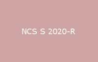 BELUPOL 080 Polymer NCS S 2020 R