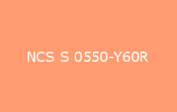 BELUPOL 080 Polymer NCS S 0550 Y60R