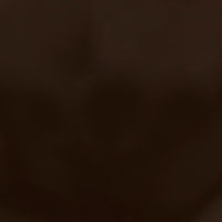 BELUSIL 010 Silikon Standardfarben Wood 29