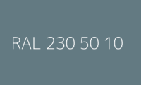 BELUSIL 010 Silikon RAL 230 50 10 Kiesgraublau