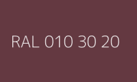 BELUSIL 010 Silikon RAL 010 30 20 Rosigbraun