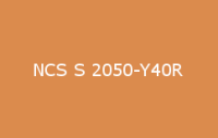 BELUSIL 010 Silikon NCS S 2050 Y40R