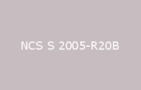 BELUSIL 010 Silikon NCS S 2005 R20B