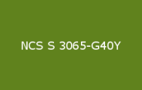 BELUSIL 010 Silikon NCS S 3065 G40Y