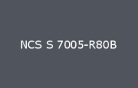 BELUSIL 010 Silikon NCS S 7005 R80B