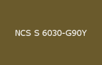 BELUSIL 010 Silikon NCS S 6030 G90Y