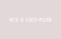 BELUSIL 010 Silikon NCS S 1005 R10B