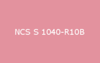 BELUSIL 010 Silikon NCS S 1040 R10B