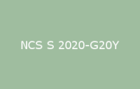 BELUSIL 010 Silikon NCS S 2020 G20Y