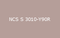 BELUSIL 010 Silikon NCS S 3010 Y90R