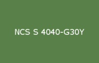 BELUSIL 010 Silikon NCS S 4040 G30Y