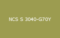 BELUSIL 010 Silikon NCS S 3040 G70Y