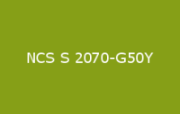 BELUSIL 010 Silikon NCS S 2070 G50Y