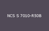 BELUSIL 010 Silikon NCS S 7010 R50B