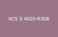 BELUSIL 010 Silikon NCS S 4020 R30B