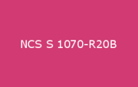 BELUSIL 010 Silikon NCS S 1070 R20B